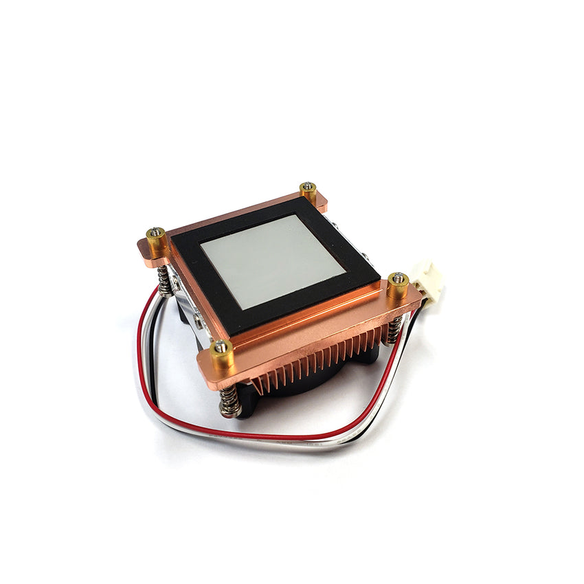 i31g