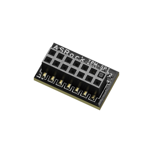 ASRock TPM-SPI 14-1 pin Trusted Platform Module (TPM v2.0)