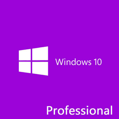 Microsoft Windows 10 Professional 64-bit (OEM)